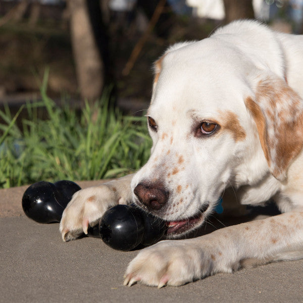 KONG Extreme Goodie Bone L
