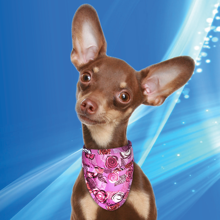 Bandana L Roses