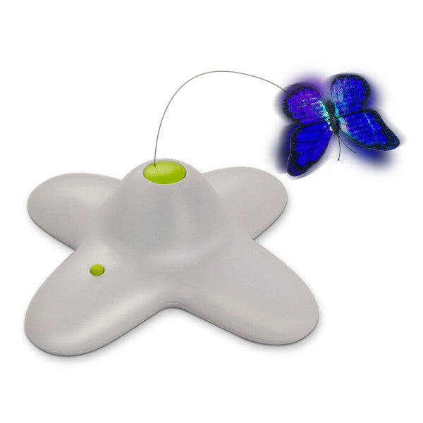 Interactives - Flutter Bug