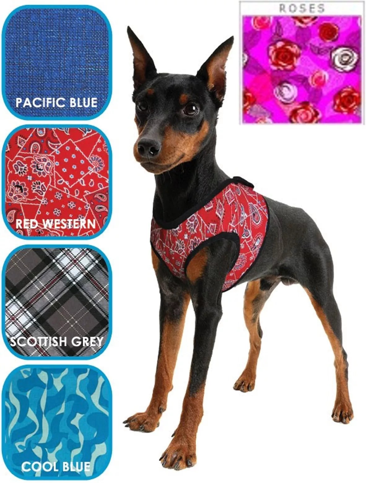 Harness XXS Cool Blue