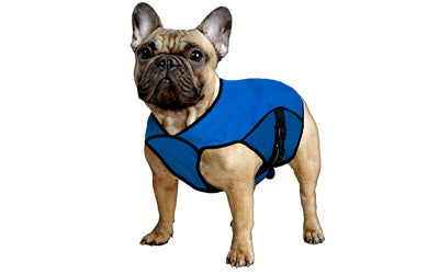 Pet Jacket L Pacific Blue