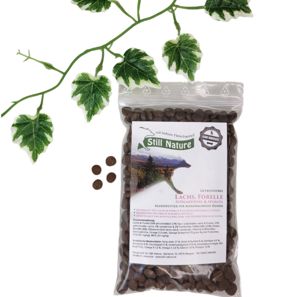 Still Nature | Lachs und Forelle mit Süßkartoffel und Spargel | kleine Rassen