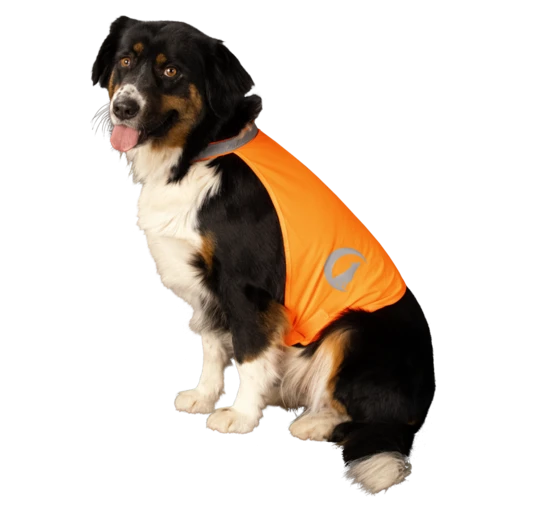 Nightwalk Dog Safety Vest orange small