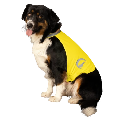 Nightwalk Dog Safety Vest gelb small