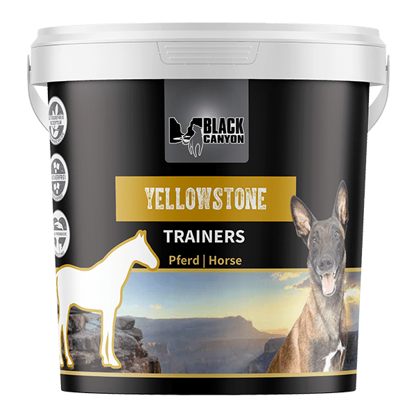BC Trainers "Yellowstone" Pferd 600g