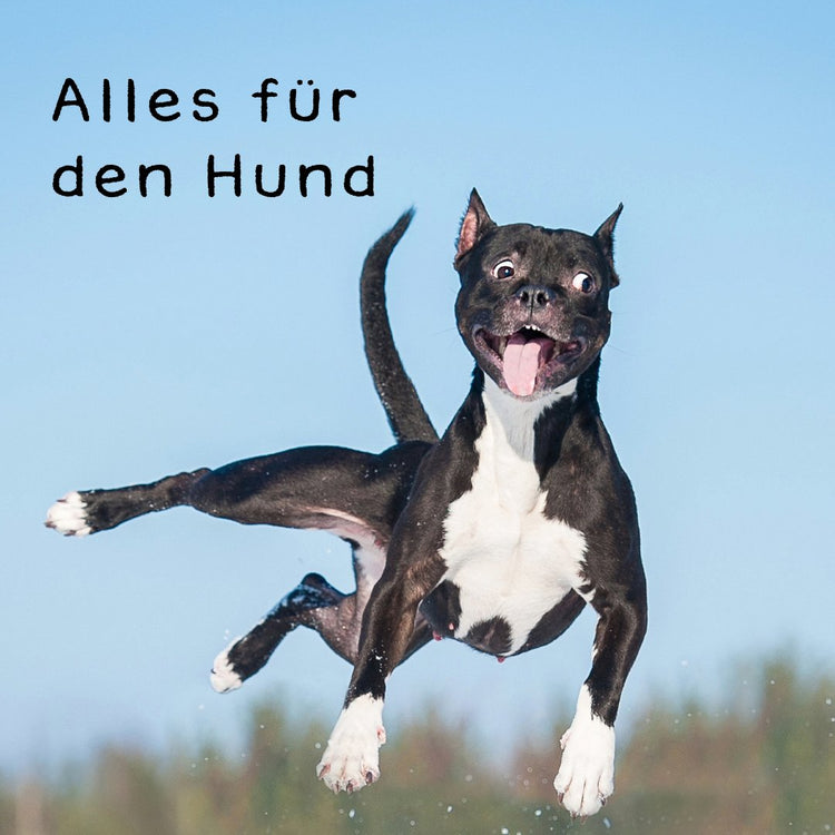 Alles für Hunde