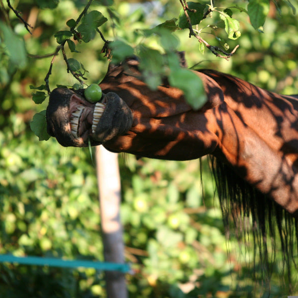 Abwehr, Energie & Nerven