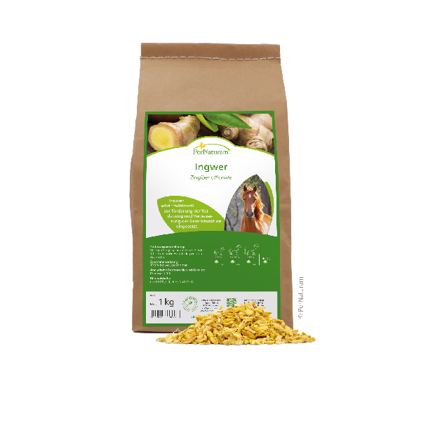 Ingwer (1 kg)