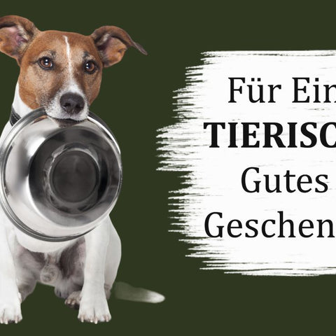 Natur Instinkt Geschenkgutschein 🐶