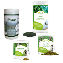 Ausleitungskur inkl. Anleitung