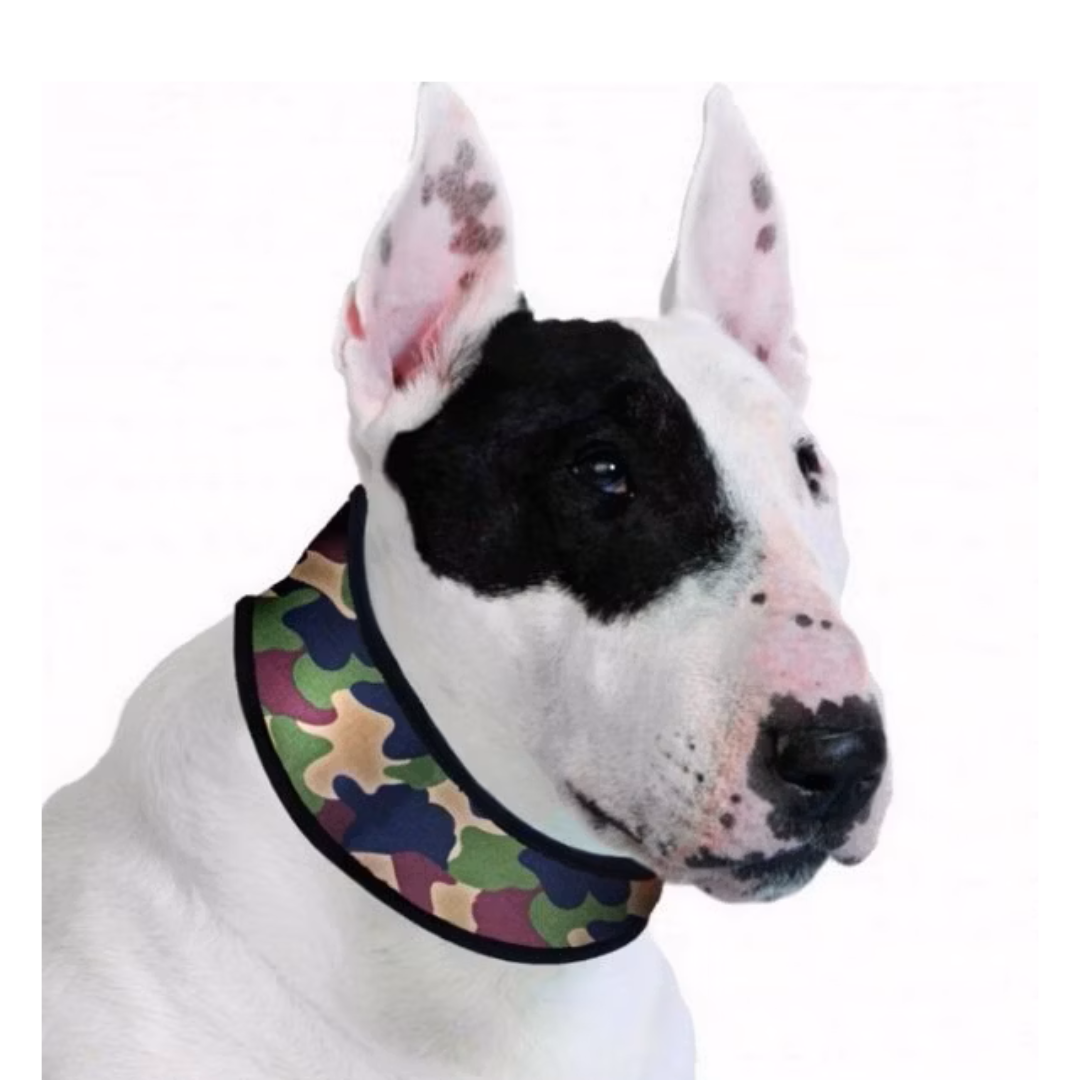 Collar XS+ Camouflage