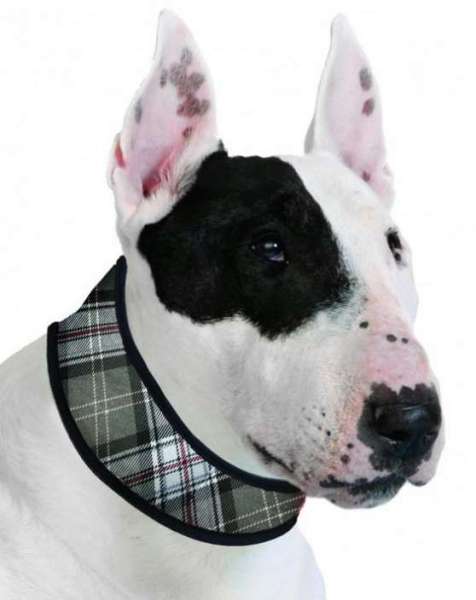 Collar 4XL Scottish Grey