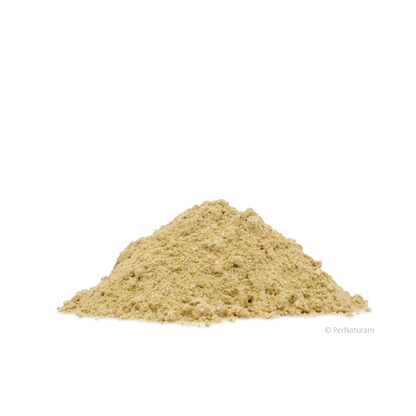 Epi-Dog (100 g)