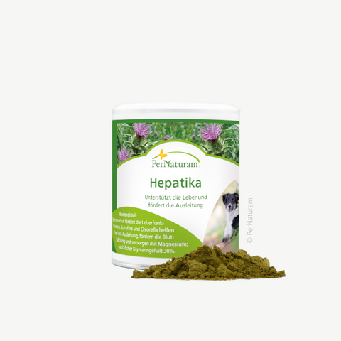 Hepatika