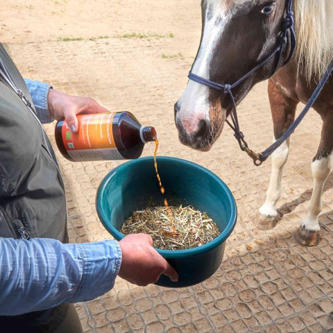 Emiko HorseCare Bio Einzelfuttermittel - 1 l