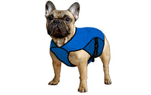 Pet Jacket XXL Pacific Blue