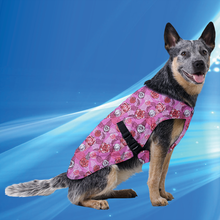 Pet Jacket L Rose