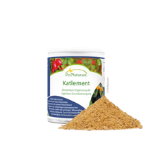 Katlement