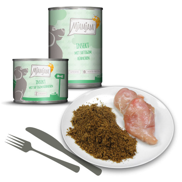 Mjamjam Hund Insekt