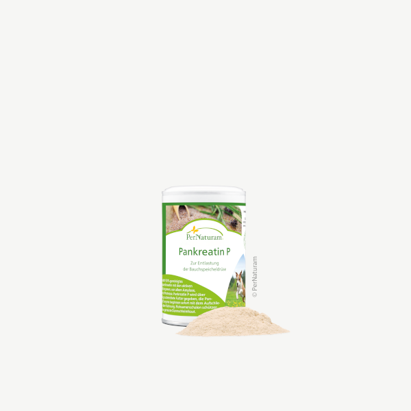 Pankreatin P 100 g