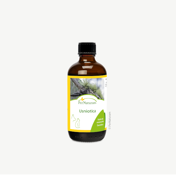 Usniotica