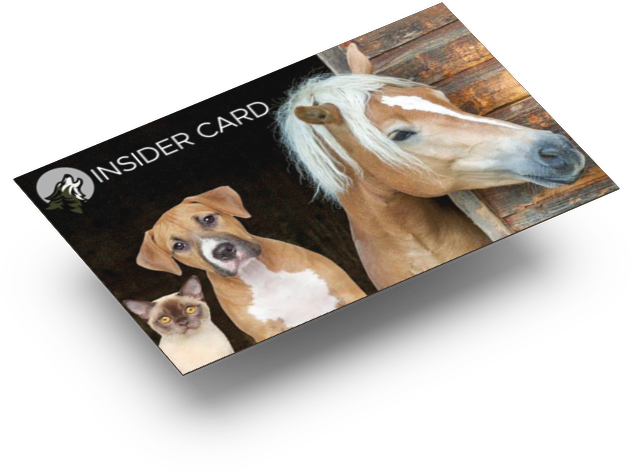 Insider Card - Filiale Meppen