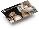 Insider Card - Filiale Meppen